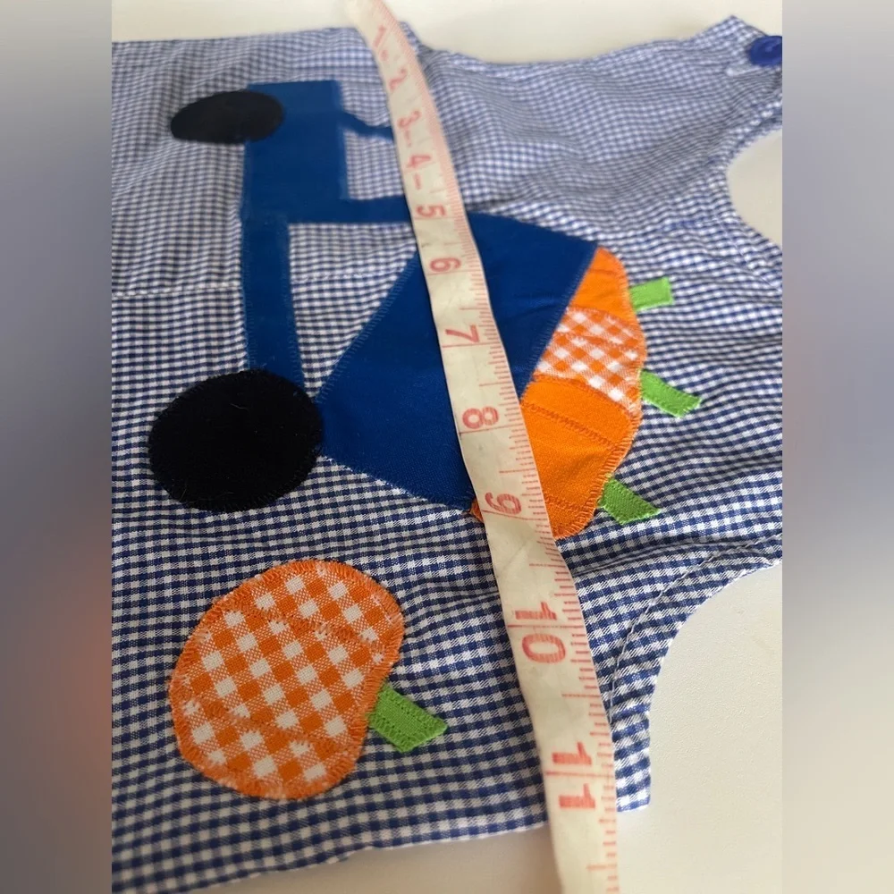 Funtasia Too Reversible 12mo Blue Checkered Overalls w/ Pumpkins & Turkey Design